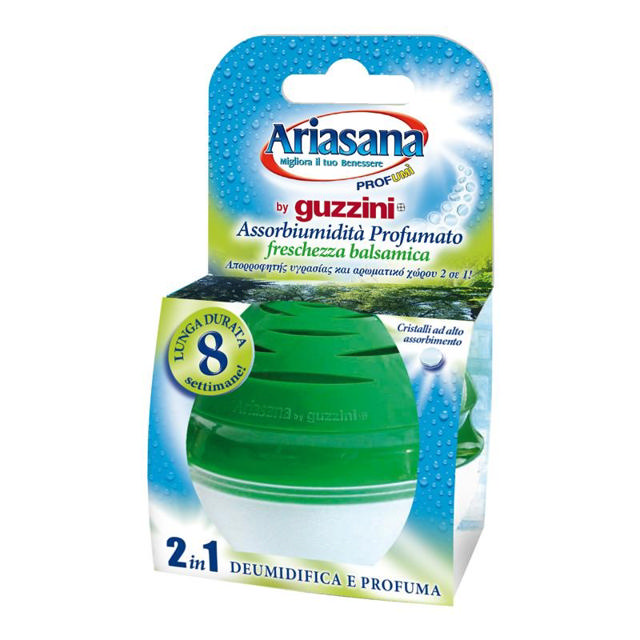 ARIASANA GUZZINI ABSOR.BALSAM 45GR