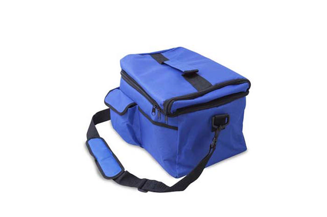 HOMESTAR COOLER BAG 15L