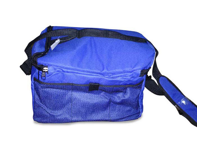 HOMESTAR COOLER BAG 15L