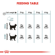 ROYAL CANIN HAIRBALL CARE 4KG