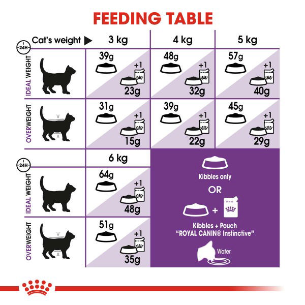 ROYAL CANIN SENSIBLE 33 CAT 4KG