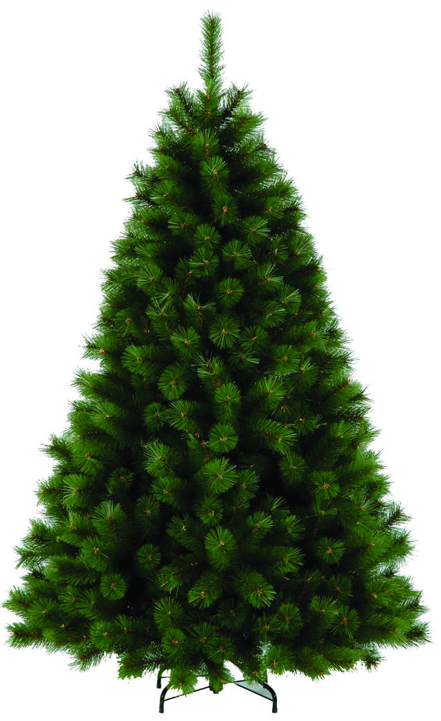 HIGHLAND FIR 1.5M