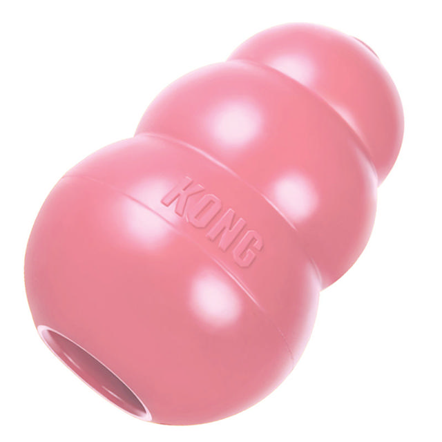 Kong Classic Puppy Medium