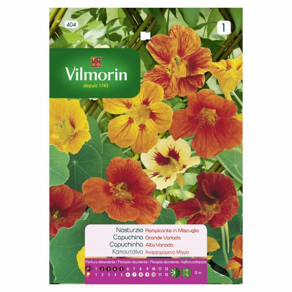 VILMORIN CAPUCCINO CLIMBING MIX