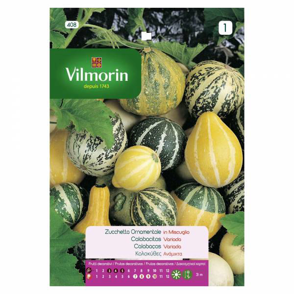 VILMORIN PUMPKIN DECORATIVE MIX