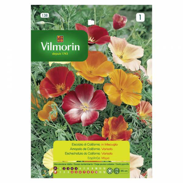 VILMORIN ESCHOLGIA CALIFORNIAS MIX