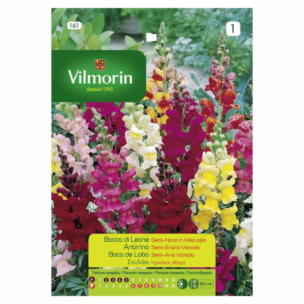 VILMORIN VARIED DWARF SNAPDRAGON