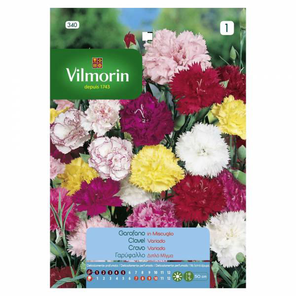 VILMORIN CARNATION DIPLO MIX