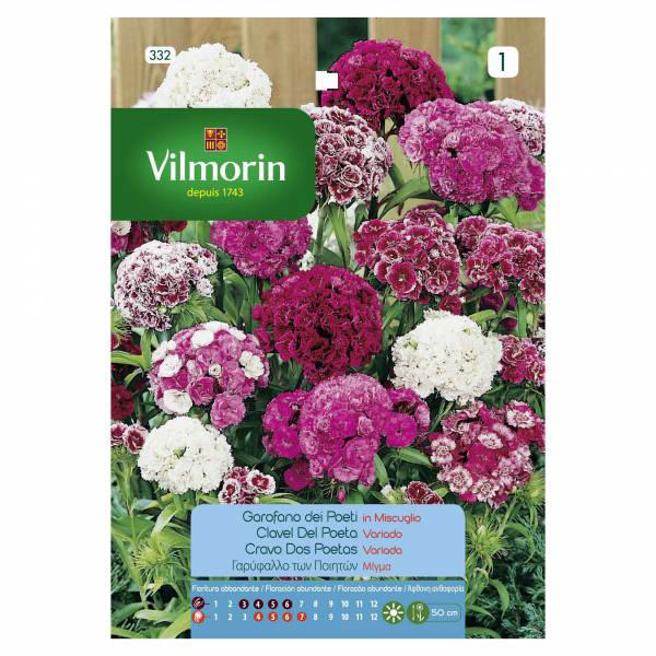 VILMORIN FRENCH CARNATION DIPLO MIX