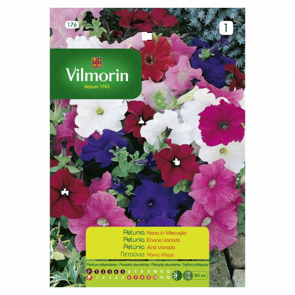 PETUNIA DWARF COMPOSE MIX