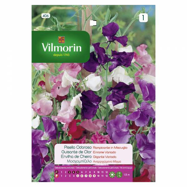 VILMORIN SWEET PEAS CLIMBER MIXED