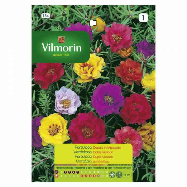 VILMORIN PORTULACA - SUN PLANT DOUBLE MIXED