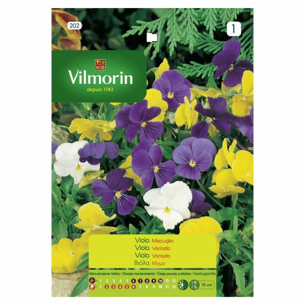 VILMORIN VIOLΕΤ MIX