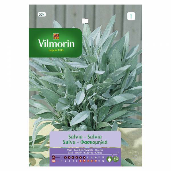 VILMORIN SAGE