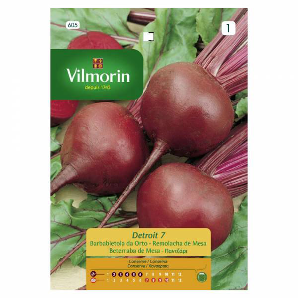 VILMORIN BEET