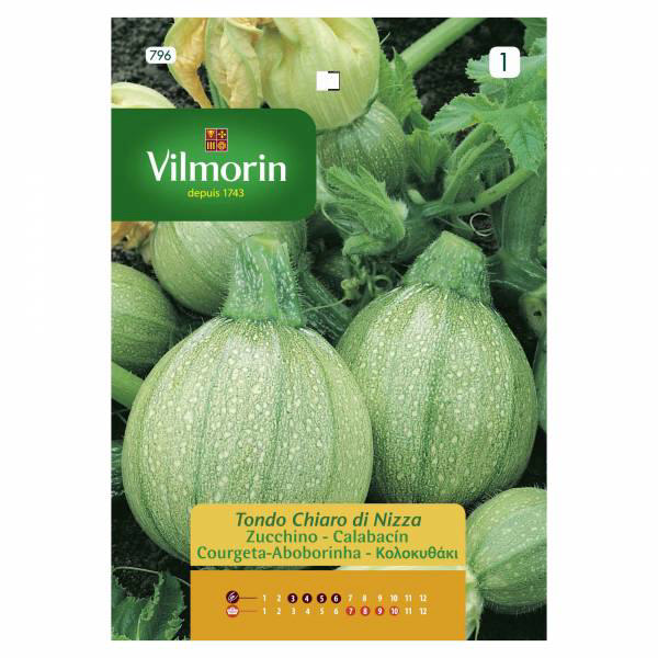 VILMORIN SMALL PUMPKIN ROUND 