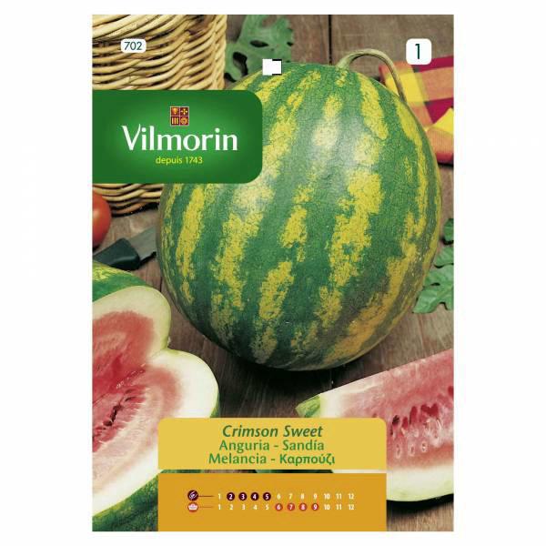 VILMORIN WATERMELON