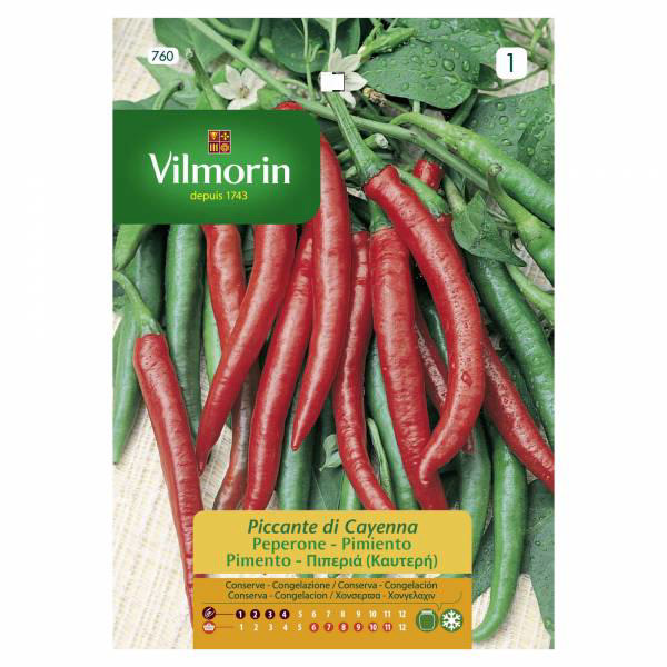 VILMORIN CHILI PEPPER KAYEN