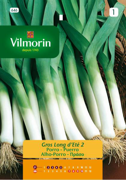 VILMORIN LEEK LONG