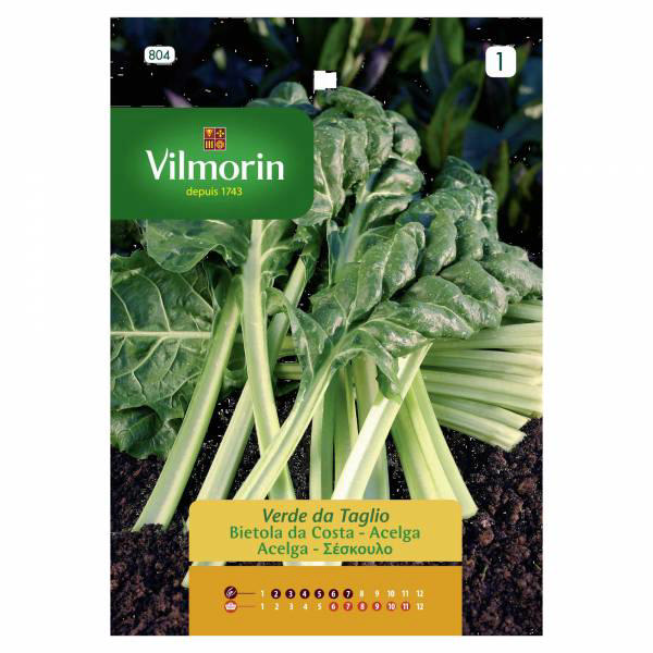 VILMORIN MANGEL GREEN