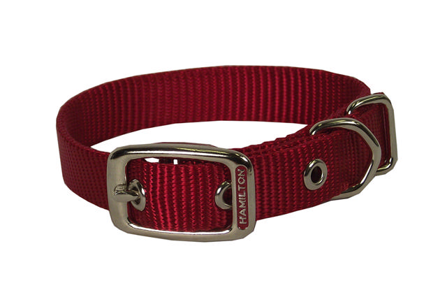 HAMILTON STE 3/8 COLLAR RED 10