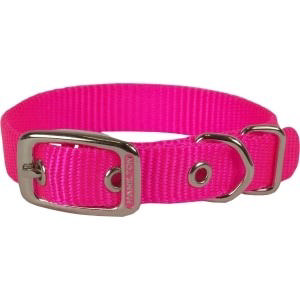 HAMILTON ST 5/8 COLLAR HOT PINK 12