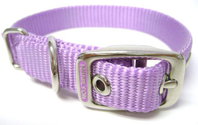 HAMILTON ST 5/8 COLLAR LAVENDER 12