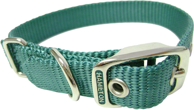 HAMILTON ST 5/8 COLLAR TEAL 12