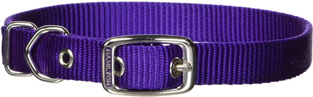 HAMILTON ST 5/8 COLLAR PURPLE 12