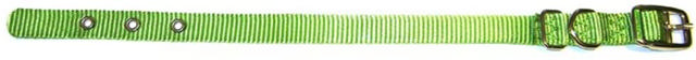 HAMILTON ST 5/8 COLLAR LIME GREEN 14