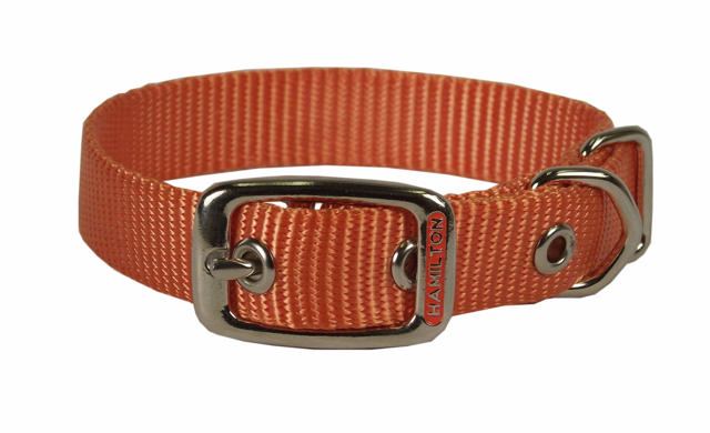 HAMILTON ST 5/8 COLLAR MANGO 16