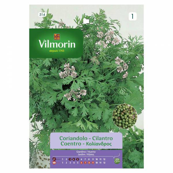 VILMORIN CORIANDER