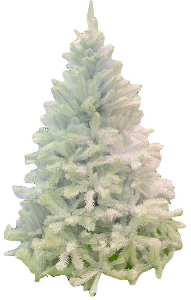 WHITE ALBERTA SPRUCE 1.5M