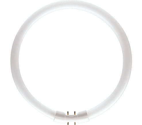 PHILIPS CIRCULAR 25W WARM WHITE