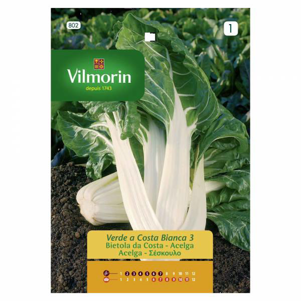 VILMORIN SWISS CHARD 5GR