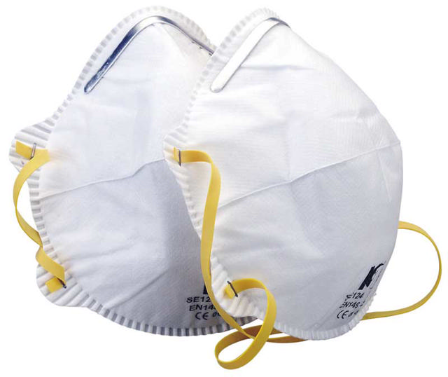 ELTECH 2PCS DUST MASK FFP1