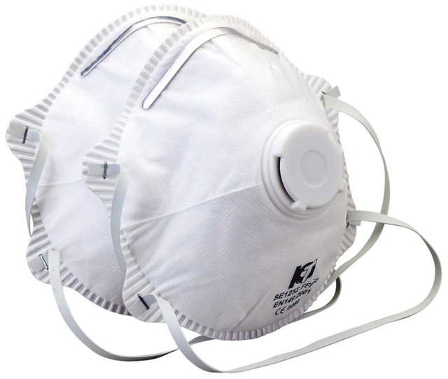 ELTECH 2PCS DUST MASK FFP2