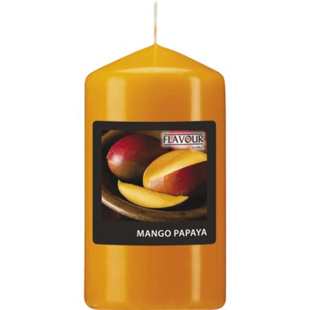 GALA ΚΟΡΜΟΣ ΚΕΡΙ ΑΡΩΜΑΤΙΚΟΣ 6.5 X 11CM MANGO-PAPAYA