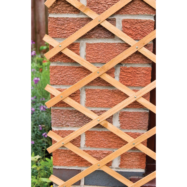 TIMBER EXPANDABLE TRELLIS 1.8MX60CM