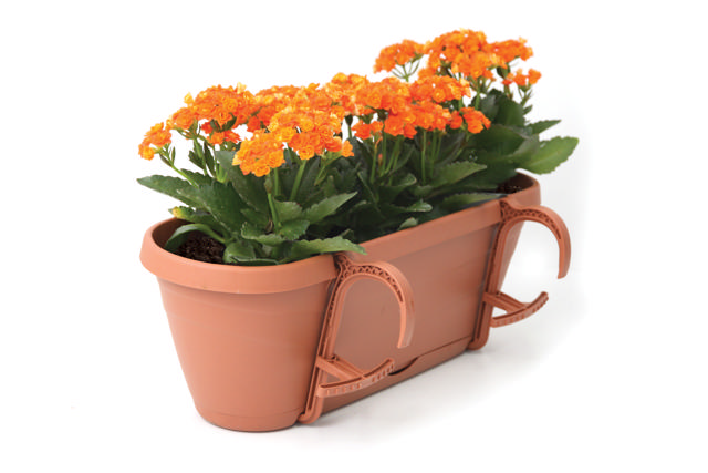 EDEN WINDOW BOX 50L - ΔΙΑΦΟΡΕΤΙΚΑ ΧΡΩΜΑΤΑ