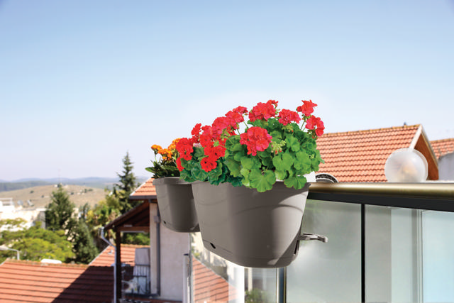 EDEN WINDOW BOX 50L - ΔΙΑΦΟΡΕΤΙΚΑ ΧΡΩΜΑΤΑ