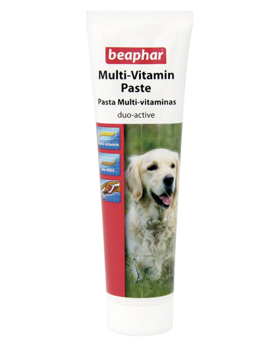 BEAPHAR MULTI-VITAMIN PASTE DOG 100G