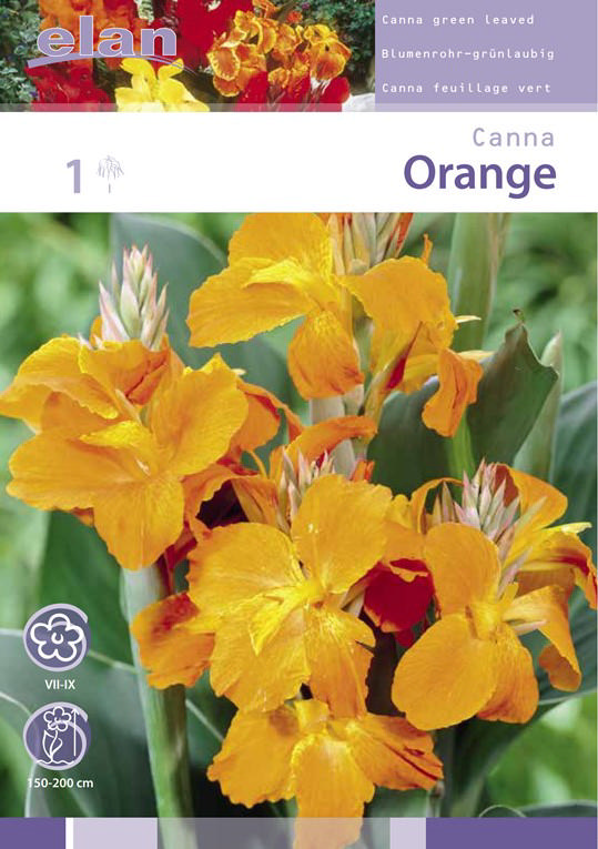 BULB CANNA GREENLEAF ORANGE 1PC 1/2N