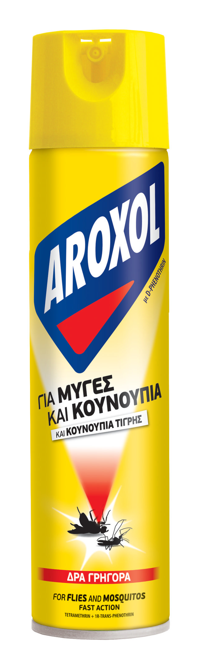 AROXOL ΕΝΤΟΜΟΚΤΟΝΟ 300ML