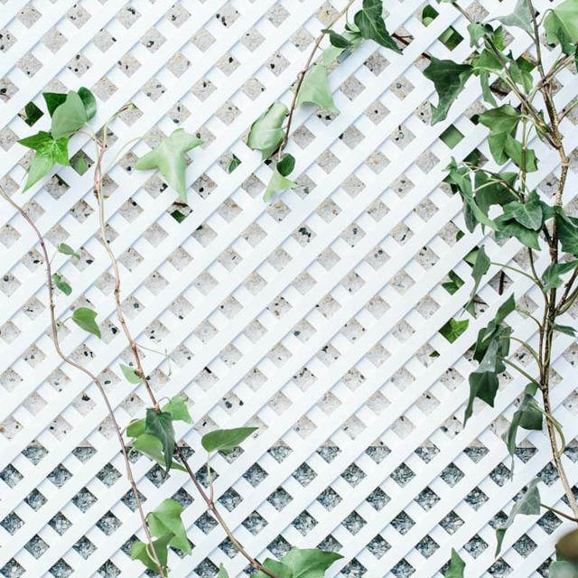 FIXED PLASTIC TRELLIS 0.8M X 1.2M X 18MM WHITE WITHOUT FRAME