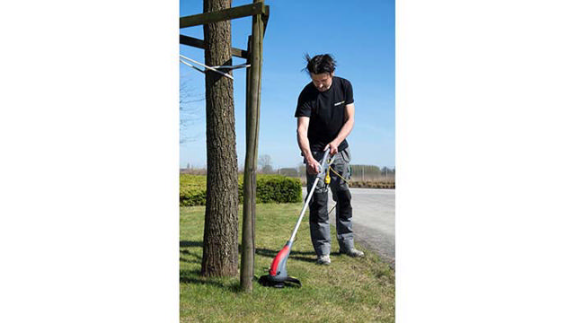 POWERPLUS POWEG6015 GRASS TRIMMER 300W 250MM