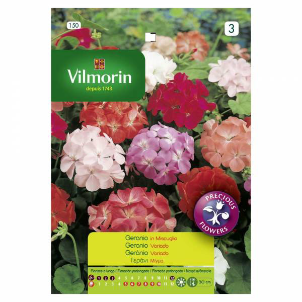 VILMORIN GERANIUM F2 MIXED