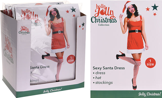 LADY SANTA OUTFIT ADULT 4PCS