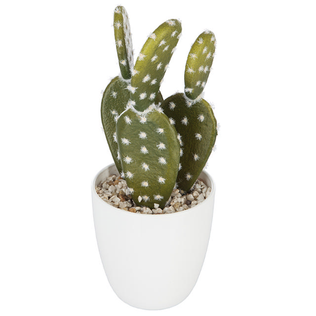 SUCCULENT CACTUS POT