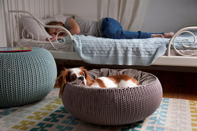 KETER CURVER COZY PET NEST CAPUCCINO